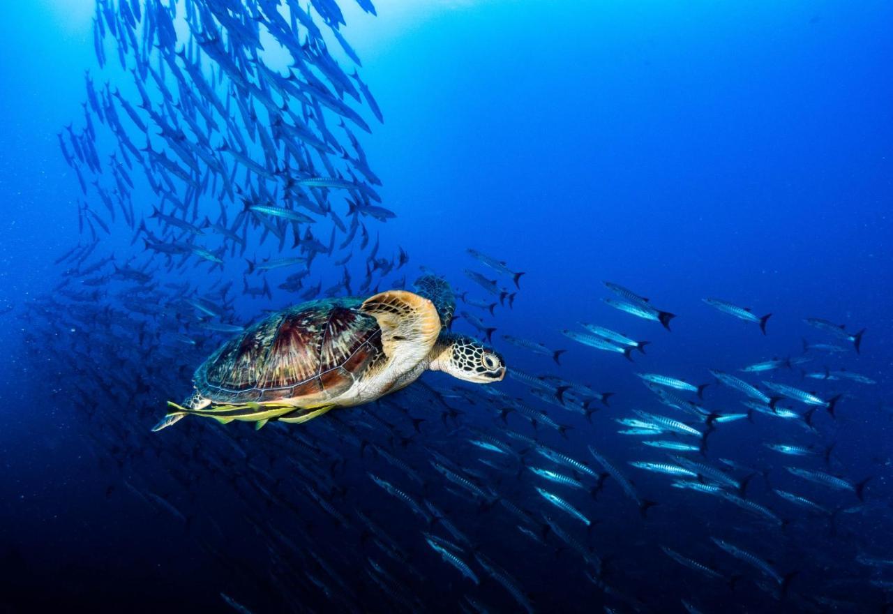 Sanctum Una Una Eco Dive Resort Pulau Unauna Zewnętrze zdjęcie
