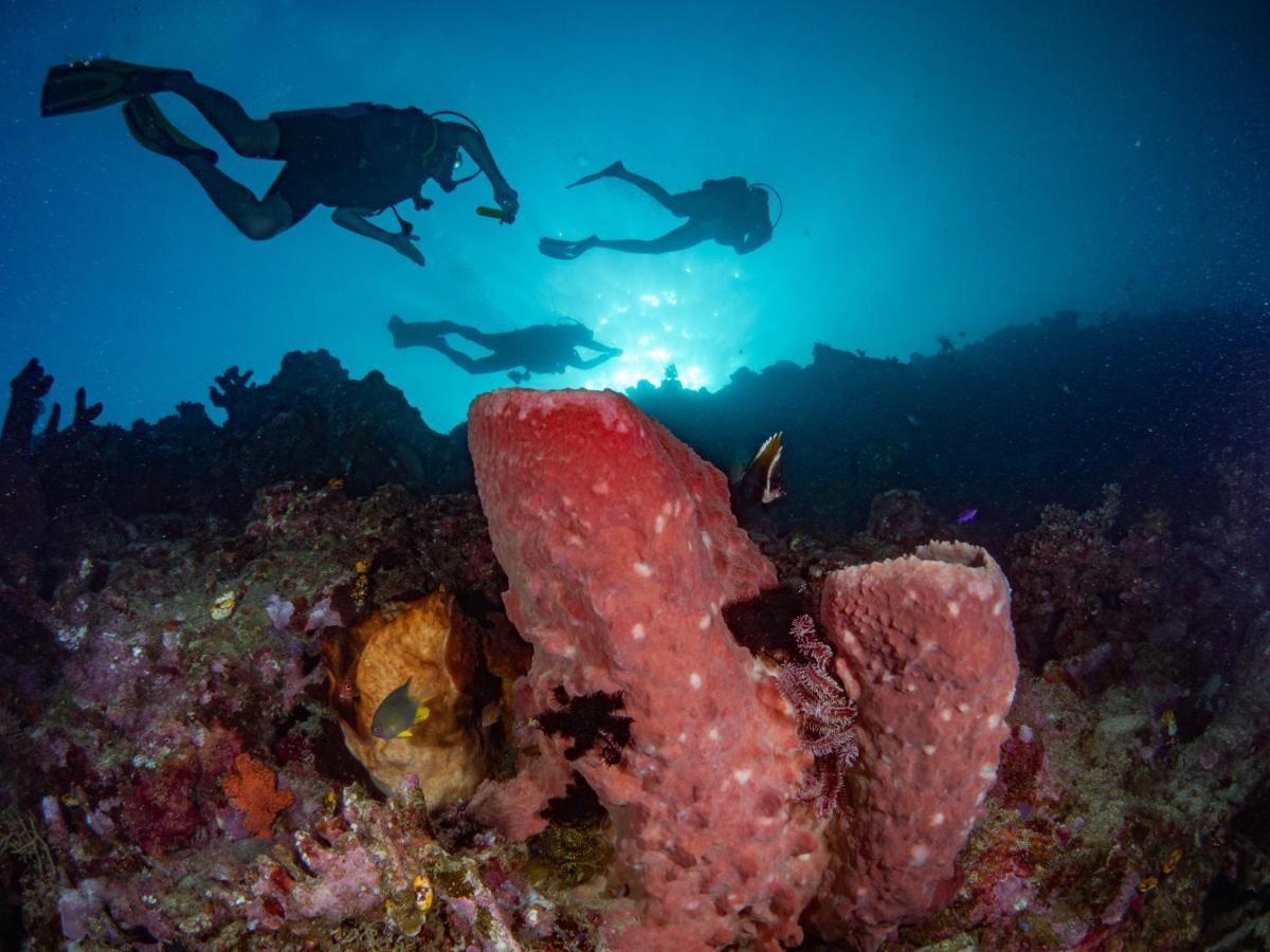 Sanctum Una Una Eco Dive Resort Pulau Unauna Zewnętrze zdjęcie