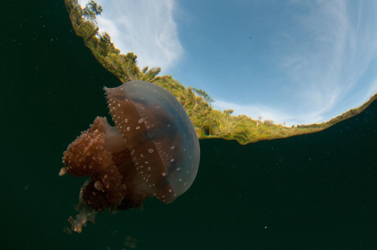 Sanctum Una Una Eco Dive Resort Pulau Unauna Zewnętrze zdjęcie