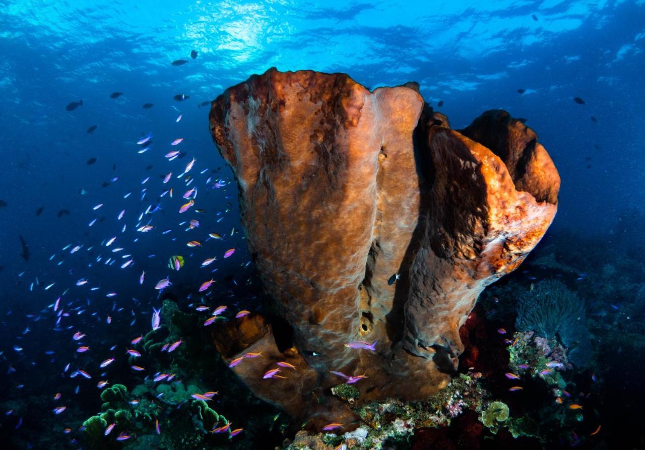 Sanctum Una Una Eco Dive Resort Pulau Unauna Zewnętrze zdjęcie