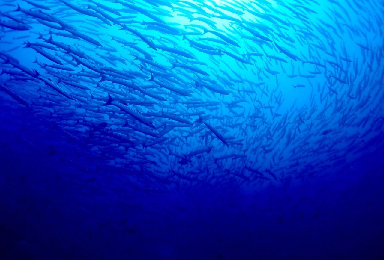 Sanctum Una Una Eco Dive Resort Pulau Unauna Zewnętrze zdjęcie