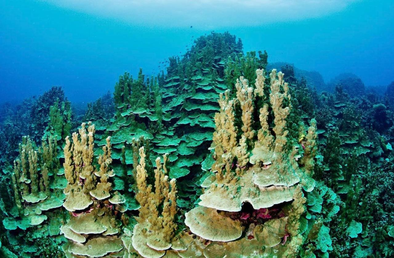 Sanctum Una Una Eco Dive Resort Pulau Unauna Zewnętrze zdjęcie