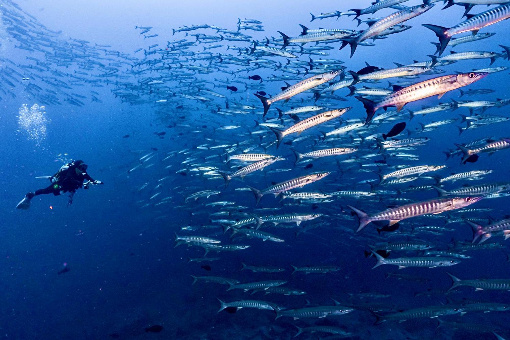 Sanctum Una Una Eco Dive Resort Pulau Unauna Zewnętrze zdjęcie
